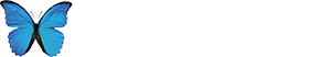 Instituto Borboleta Azul
