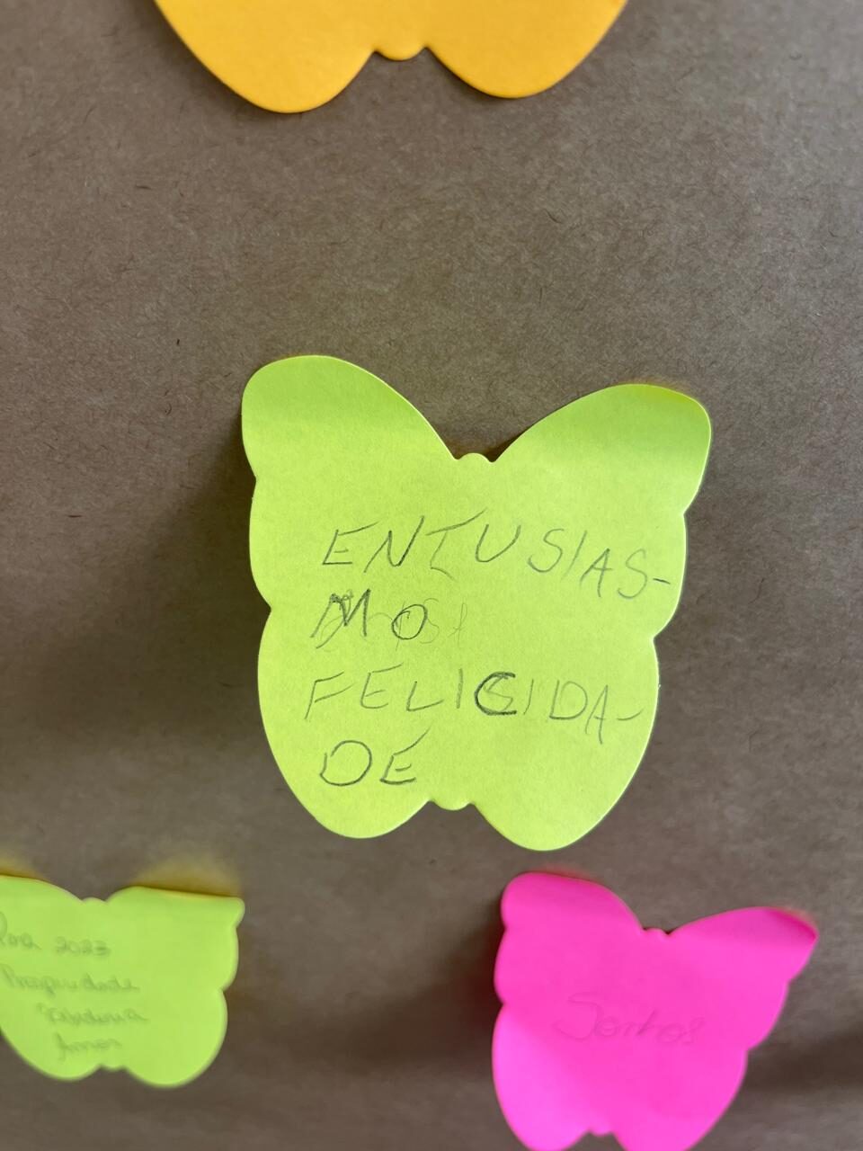 Prevenção e Promoção de Saúde Mental no Projeto Arrastão