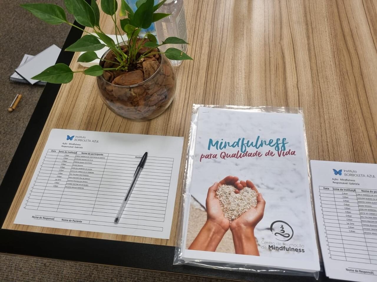 Mindfulness – Educadores Instituições Parceiras