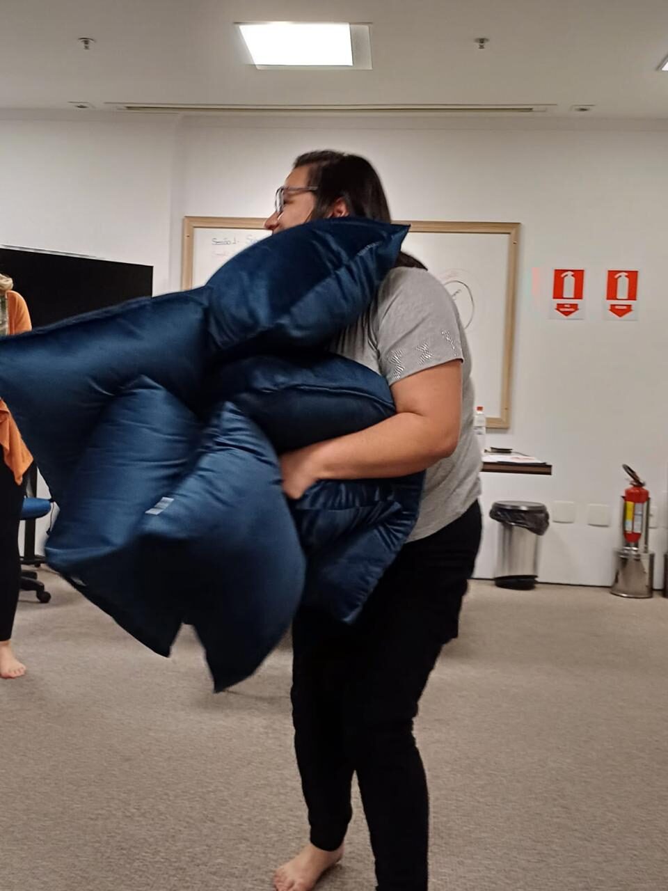 Mindfulness – Educadores Instituições Parceiras