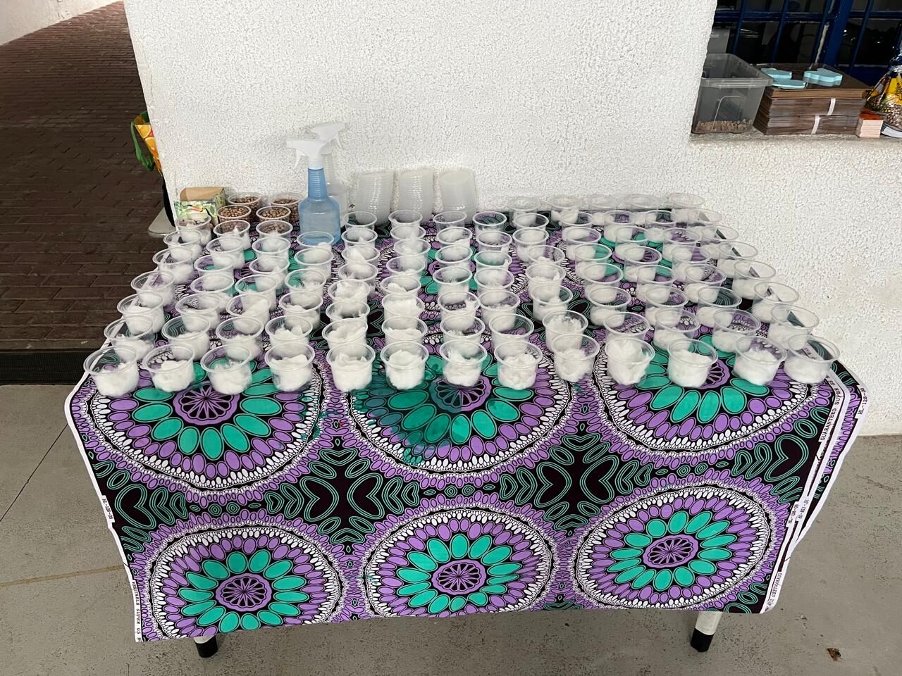 Prevenção e Promoção de Saúde Mental na Associação Santo Agostinho – ASA